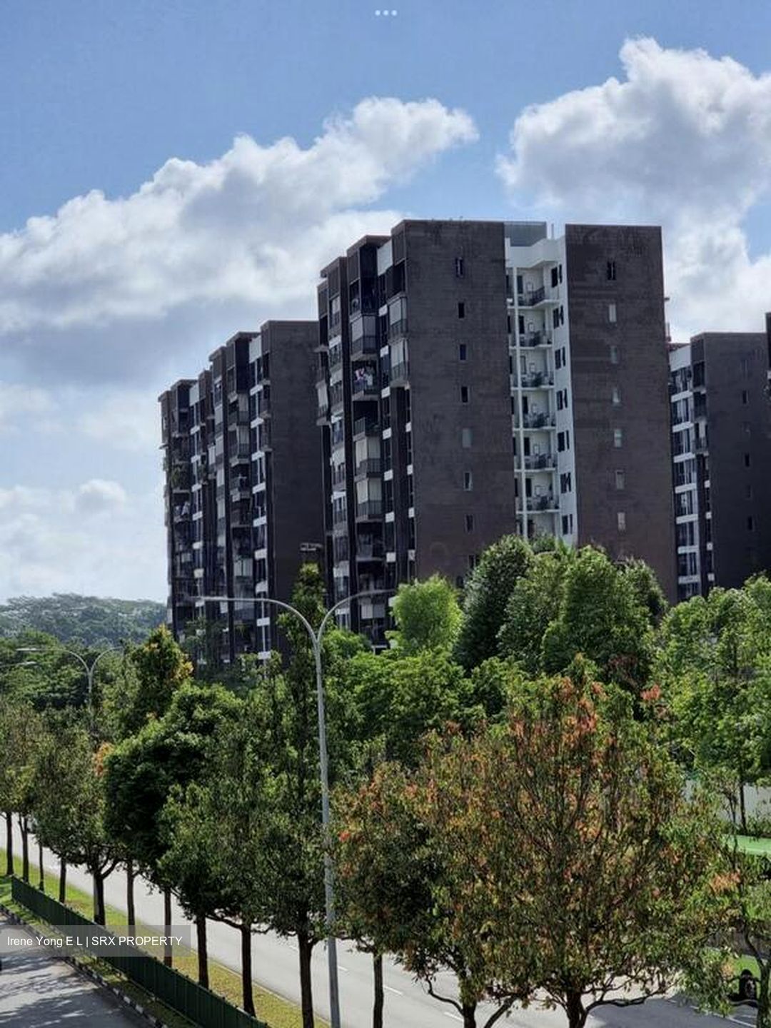 Bellewoods (D25), Condominium #504519551